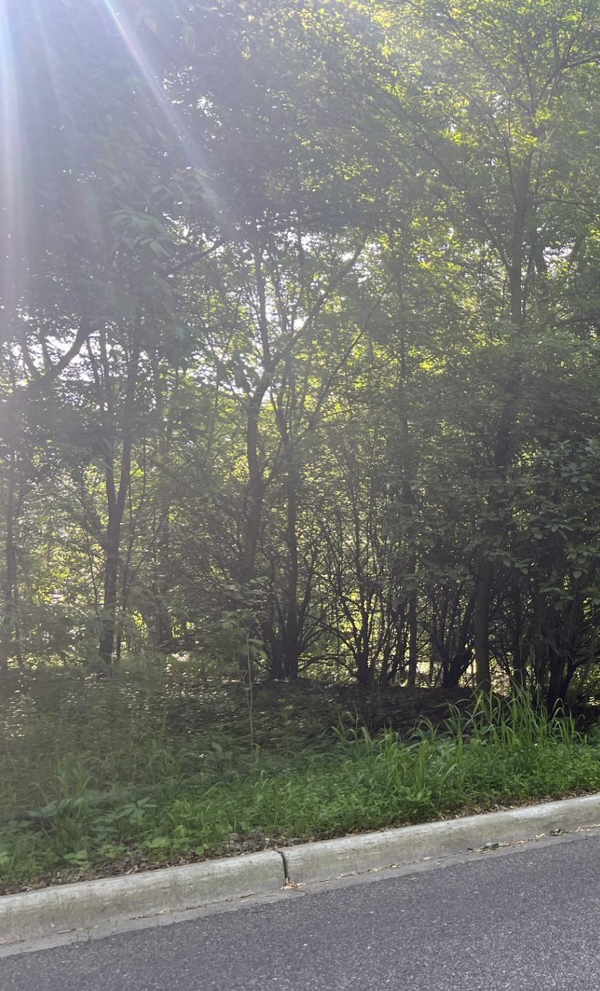 1784a308-2c52-4316-8dfe-d05d77330471.jpeg
