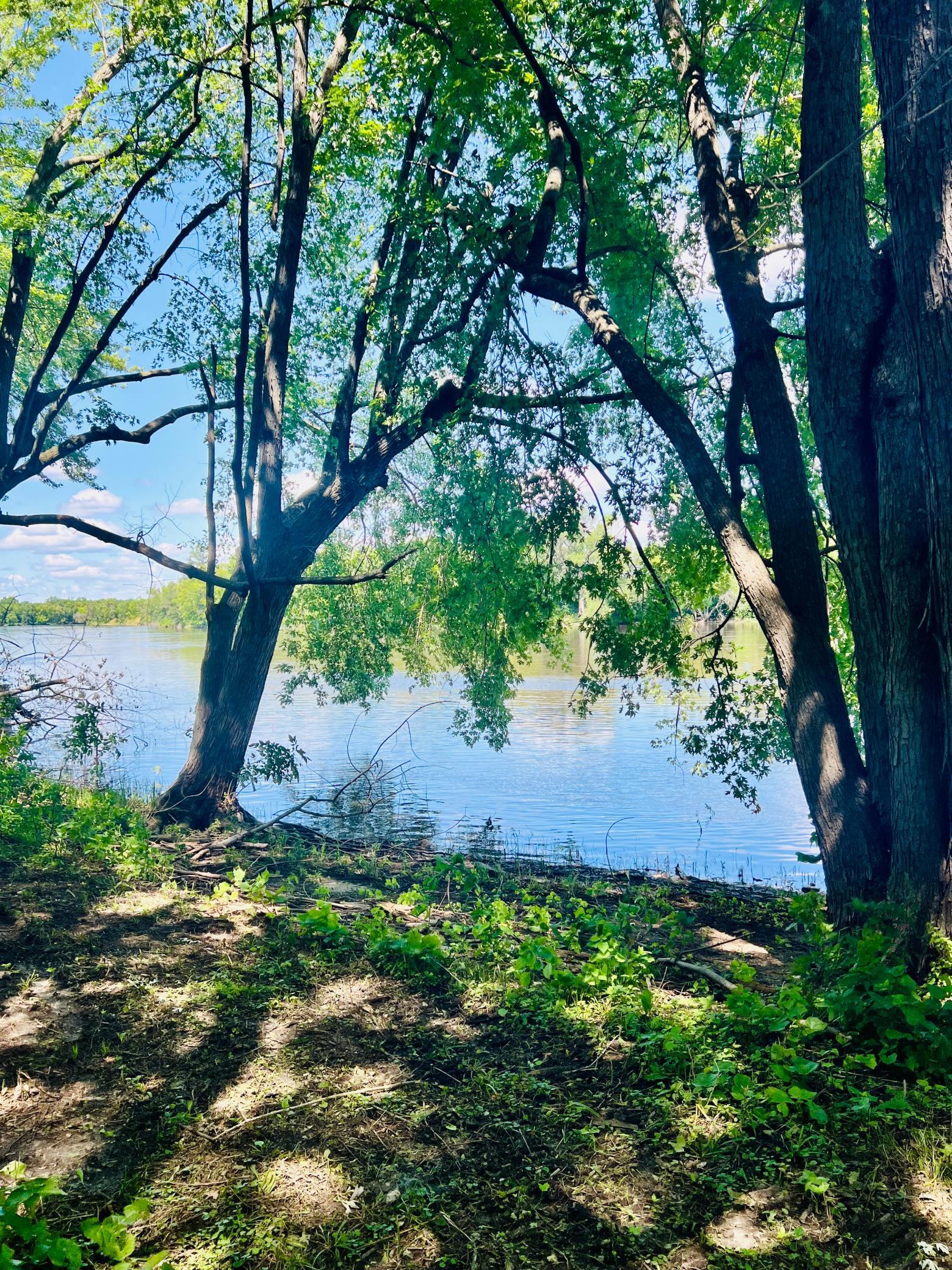 4bbde71b-d532-4266-b08d-573240a04d71.jpeg