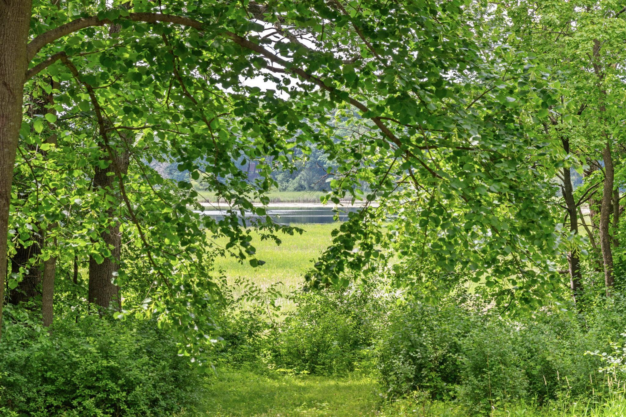 0c685d70-d23e-41f9-b93d-048dcbb1803b.jpeg